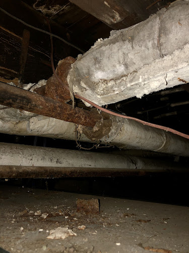 Negocio Cincy Home Inspections