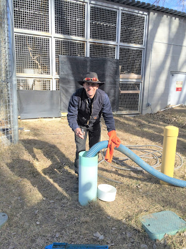 Negocio Cotter's Sewer, Septic And Portable Toilet Services