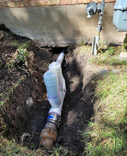 Negocio Drain Kings Plumbing