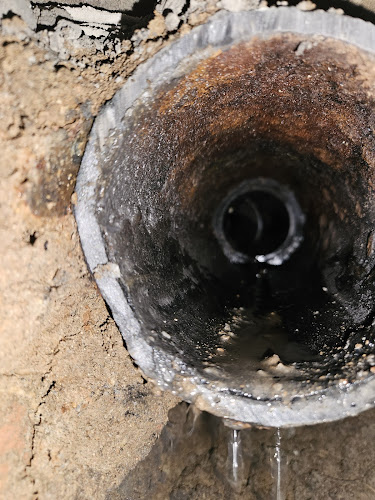 Negocio Emerald City Sewer
