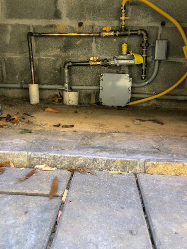 Negocio Haynes Plumbing Sewer And Water Services