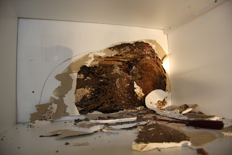 Negocio Home Inspection Newark
