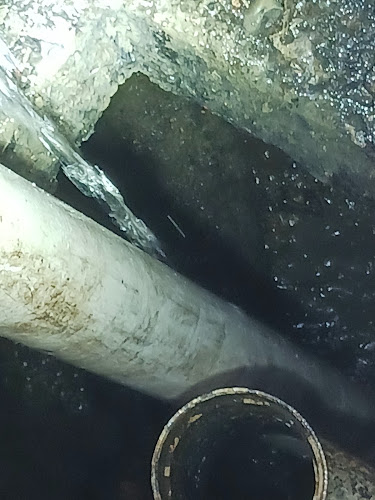 Ray's Septic Pumping