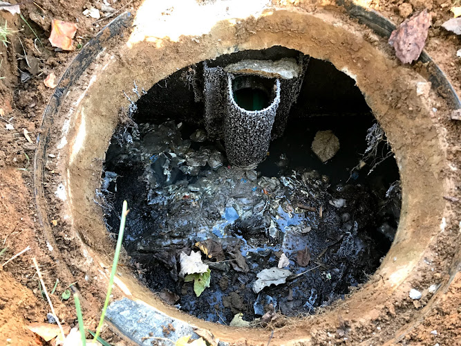 Negocio Shelby Septic Service
