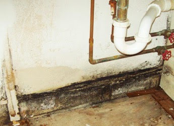 Negocio Soil-Away Cleaning Services, Llc