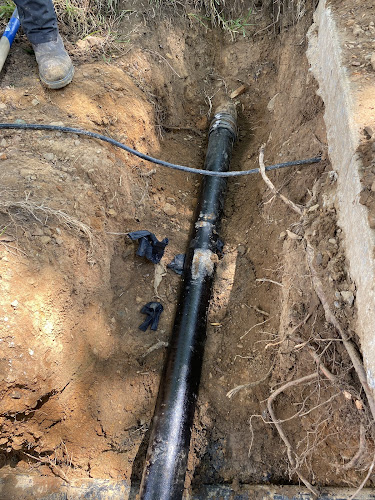 Negocio The Rock Plumbing