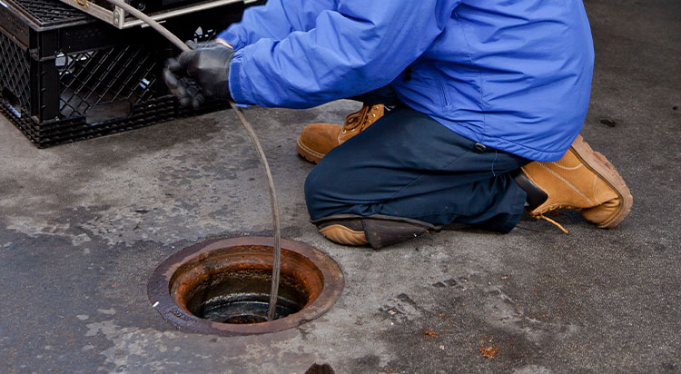 The Sewer Fixers
