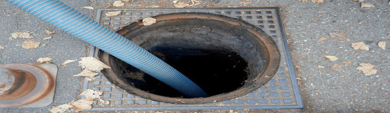 Negocio Zippy Drain